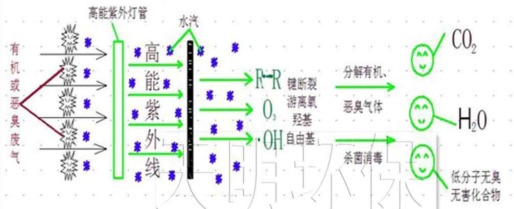 UV高效光解净化器